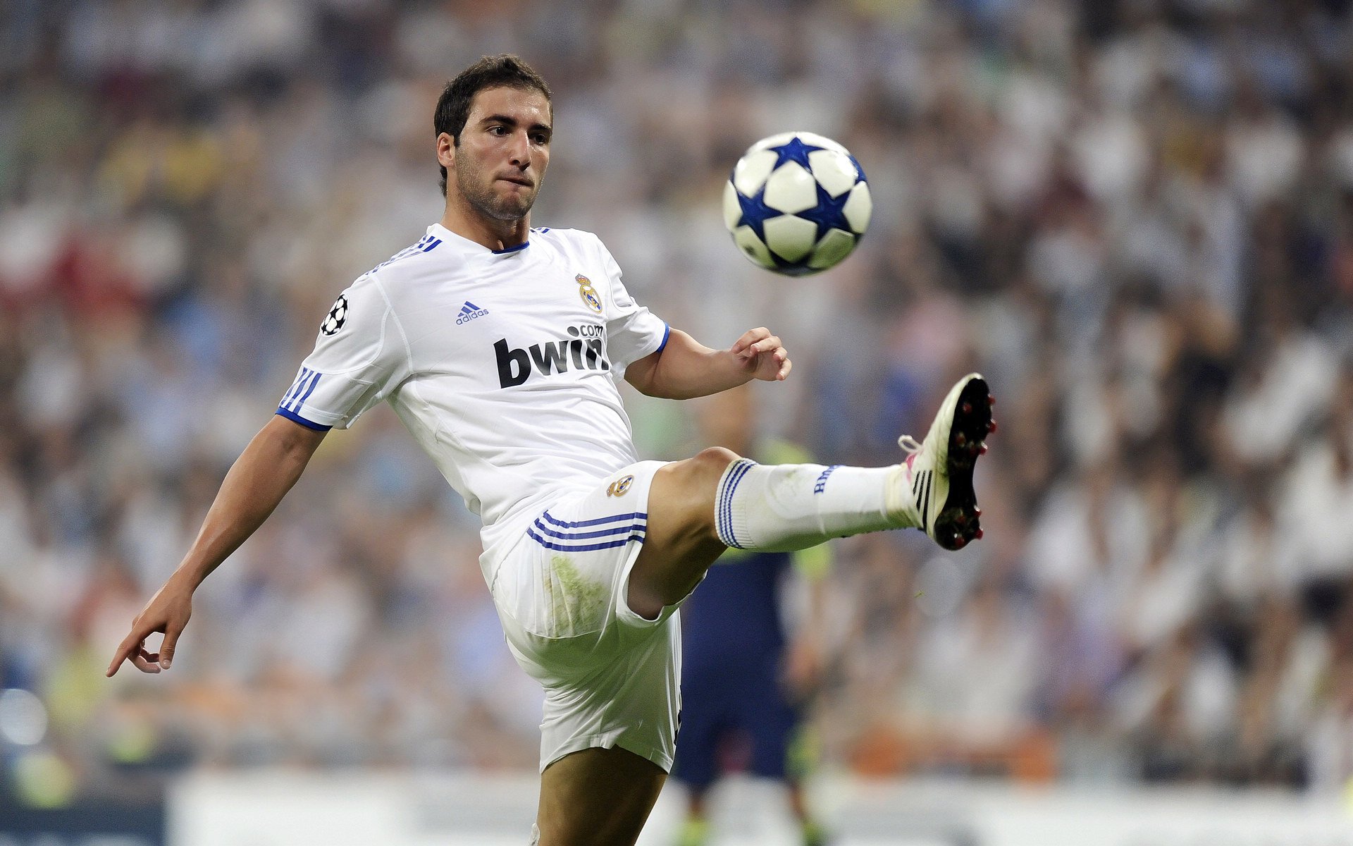 美洲队球迷组织举办庆祝活动，支持球队，美洲队球衣